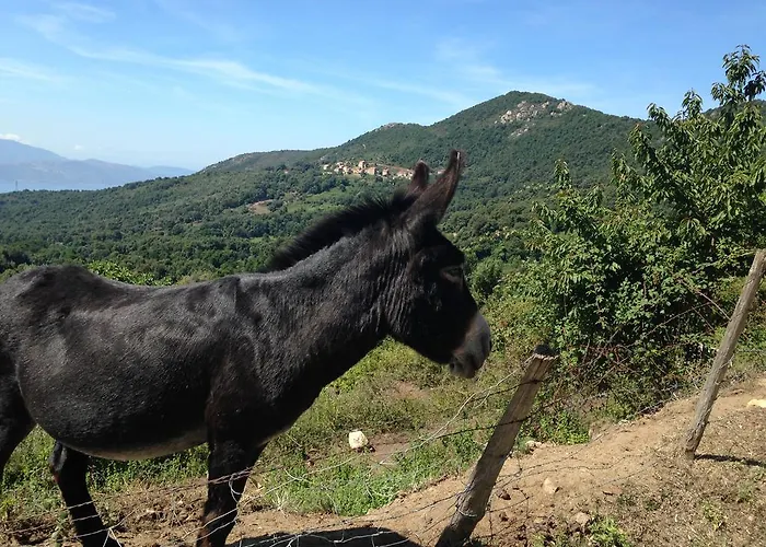 דירה Panoramic Seaview Tiuccia Casaglione